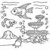 Freshwater Fish Coloring Pages For Kids sketch template