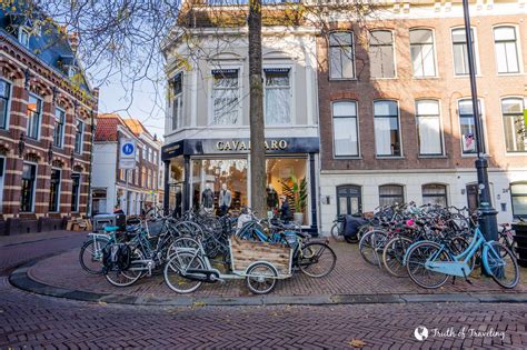 5 Reasons to Visit Haarlem in the Netherlands - Truth of Traveling