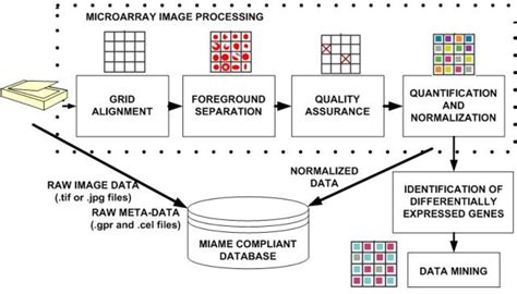 Microarray spotting process flow method