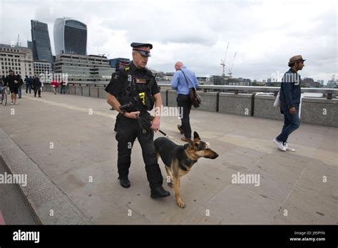 Metropolitan Police Dogs team on the London Bridge after the road is closed to traffic after the ...