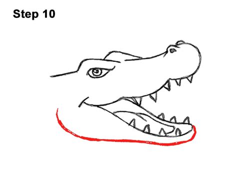 Нарисовать морду крокодила - 83 фото