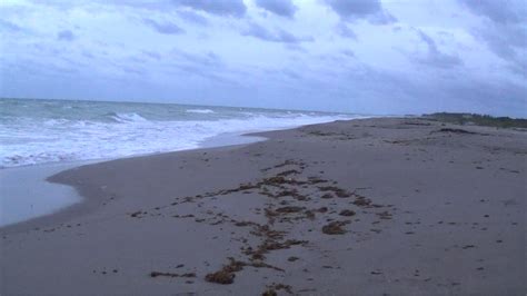 The Treasure Beaches Report Direct From Florida's Treasure Coast.: 11/15/15 Report - Current ...