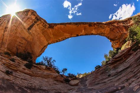 Natural Bridges National Monument Travel Guide