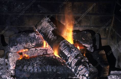 Burning Log - Stock Image - C027/9554 - Science Photo Library