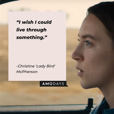 26 Lady Bird Quotes from the Best Comedy-Drama Movie of 2017