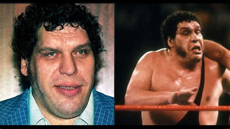 Andre the Giant left passengers ‘unable to breathe, gagging and crying’ after doing a huge poo ...