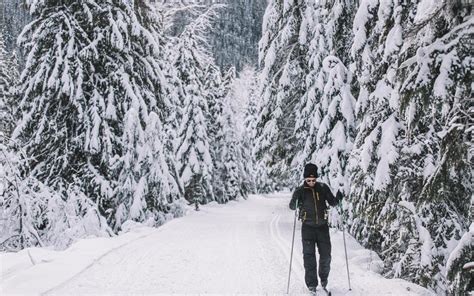 Ski the Powder Highway: Whitewater and RED | SnowSeekers