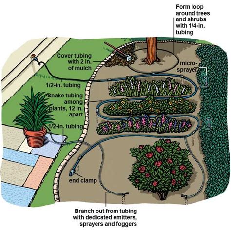 How to Install Drip Irrigation - This Old House