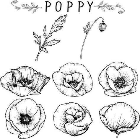 Pin by Rox Mas on Disegni,tatuaggi e mandala. in 2022 | Poppy flower ...