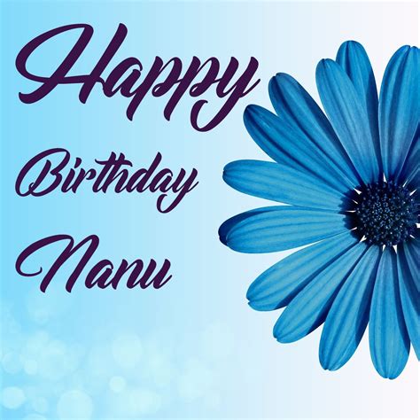 50+ Best Birthday 🎂 Images for Nanu Instant Download | Wishiy.com