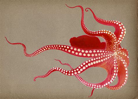 Red Octopus on Behance