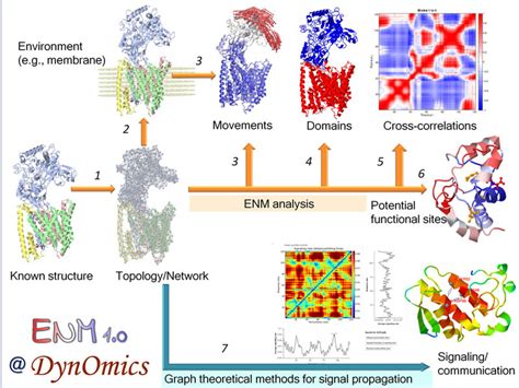 Graphical Abstracts - Examples | Nucleic Acids Research | Oxford Academic | Nucleic Acids ...