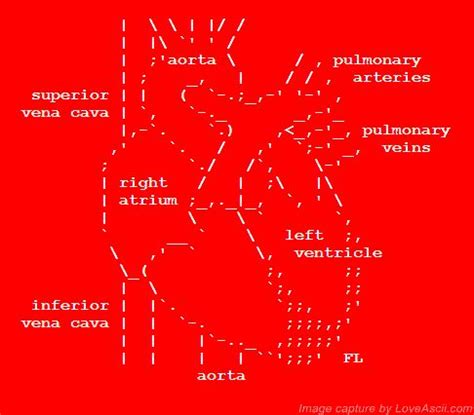 Not your typical ASCII heart | Ascii art, Ascii heart, Vena