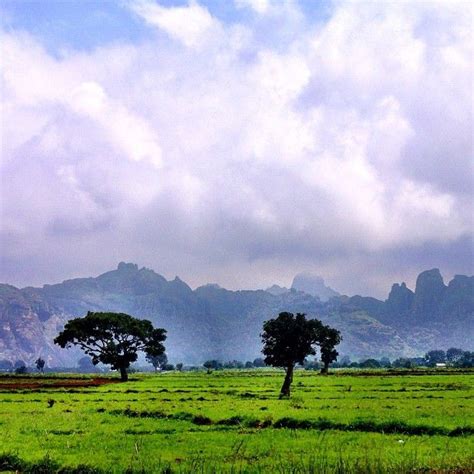 Discover the Natural Beauty of Nigeria's Landscapes