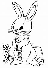 Rabbit With Carrot Para Colorear imprimir E Dibujar –ColoringOnlyCom sketch template