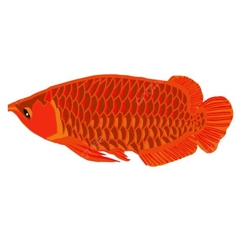 Beautiful Arowana Fish Logo Vector, Water, Fish, Exotic PNG and Vector ...