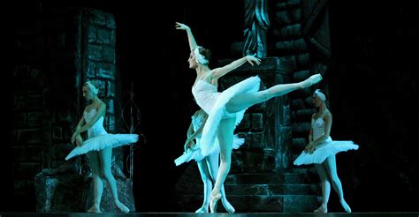 Swan Lake | Brussels International Ballet