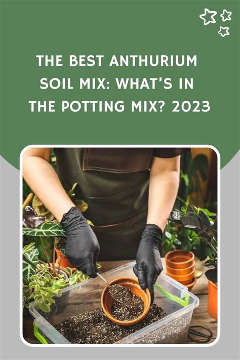 the best anthrium soil mix what's in the potting mix?