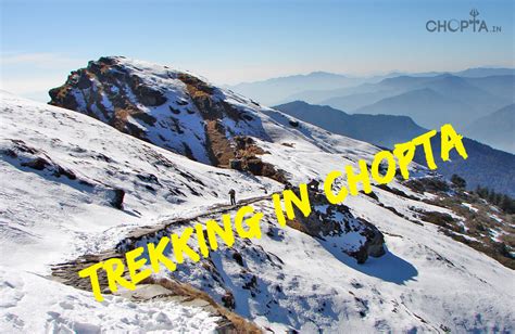 Chopta Trekking Routes - Trekking in Chopta Regions, List of Chopta Treks