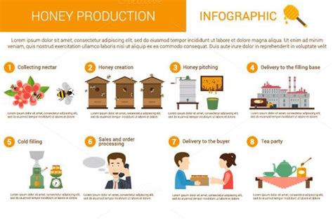 Honey production process | Bee keeping, Infographic, Bee