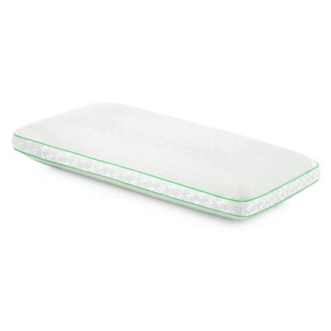 Z Zoned ActiveDough + Peppermint Aromatherapy Pillow By Malouf | Free ...