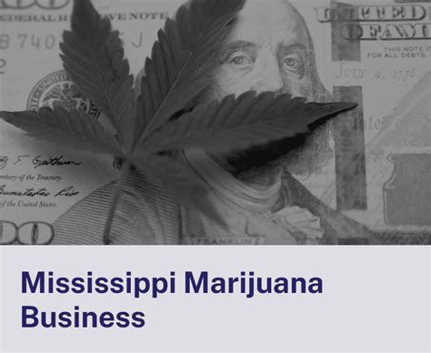 How to Open a Dispensary in Mississippi in 2024? | MississippiStateCannabis.org