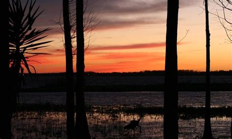 Boggy Creek Airboat Adventures - Boggy Creek Airboat Adventures | Groupon