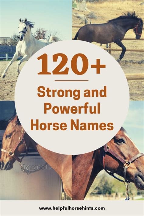 120+ Strong and Powerful Horse Names - Helpful Horse Hints