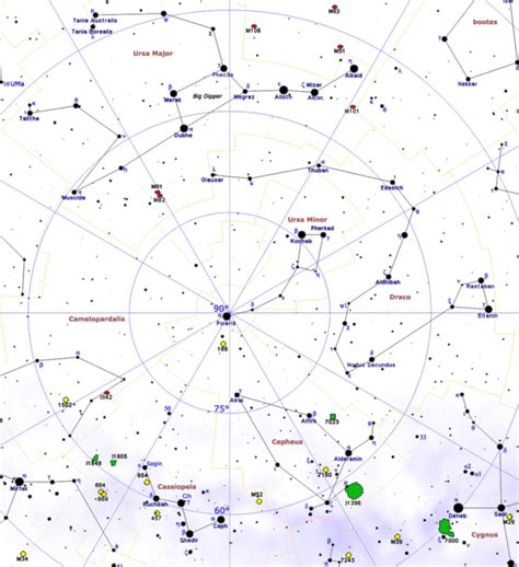 Circumpolar constellations – Constellation Guide