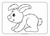 Printable Fluffy Bunny Pdf Coloring Page sketch template