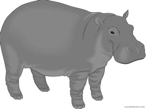 Hippo clipart cartoon, Hippo cartoon Transparent FREE for download on WebStockReview 2024