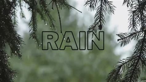 Soft Rain Sound | Relaxing Rain Sound | Non-stop | 1 Hour | Looping Rain Sound | Ambient Rain ...