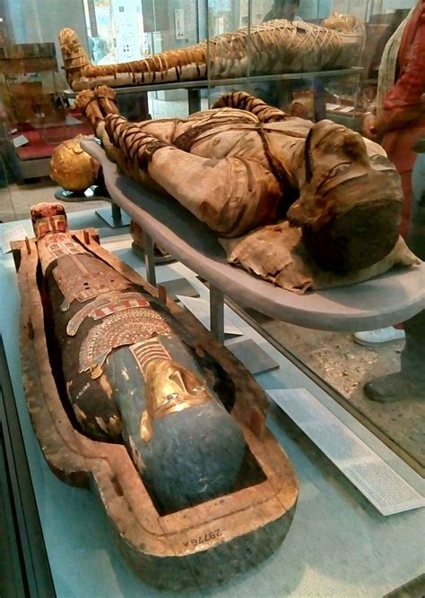 an egyptian museum with ancient artifacts on display