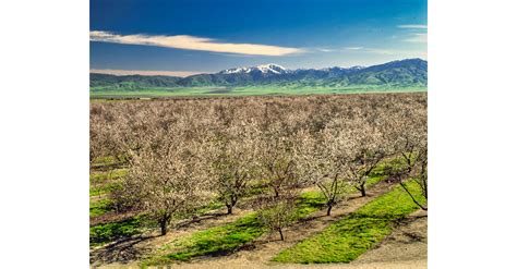 Tejon Ranch – My CMS