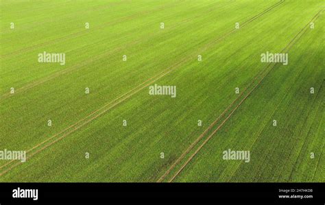 Aerial view of the grassy big field in the countryside Stock Photo - Alamy