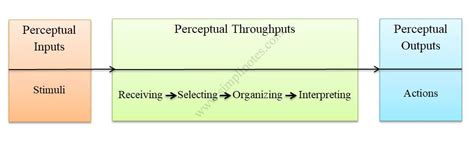 Process of Perception - What is Perceptual Process?