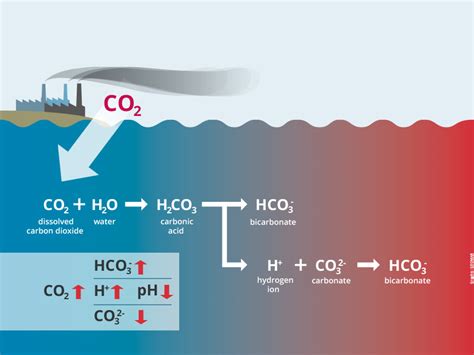 What is ocean acidification? – BIOACID: Biological Impacts of Ocean Acidification