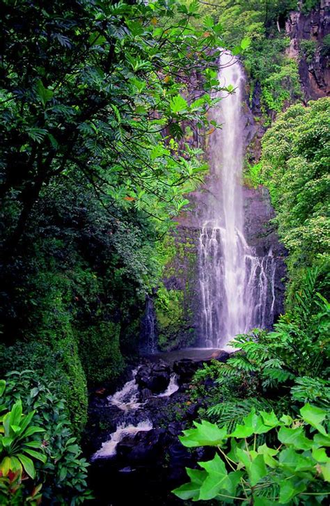 Wailua Falls - Maui Maui Hawaii, Hawaii Travel, Hana Maui, Beautiful ...