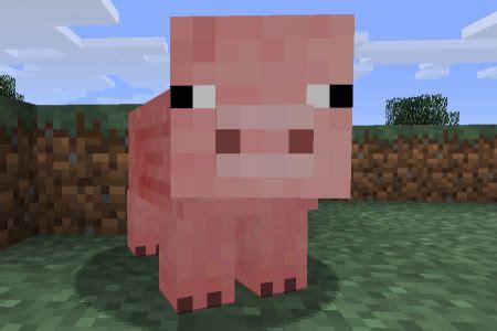 Animal Heads In Minecraft - Animal Mania