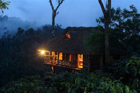 Tree House - 900 Kandi, Wayanad