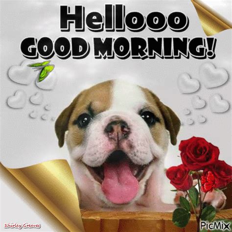 Puppy Good Morning Dog Gif, The new pic/gif/video thread. | Page 13 | IGN Boards, Good morning ...