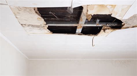 Ceiling Leaking In Apartment | Shelly Lighting