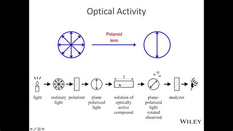 Optical Activity - YouTube