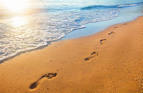 Footprint Pictures, Images and Stock Photos - iStock