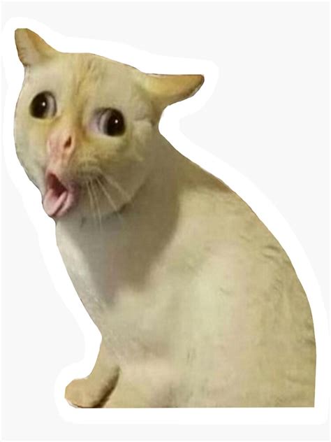 "coughing cat meme " Sticker for Sale by SplendidArt | Redbubble
