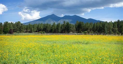 $411+ Flights to Flagstaff, Arizona | Cheapflights