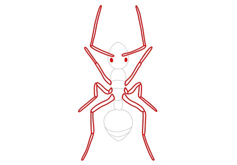 How to Draw an Ant | Design School