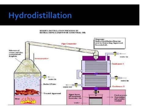 Extraction of volatile oils