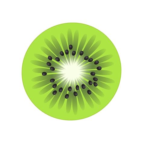 Premium Vector | Kiwi slice