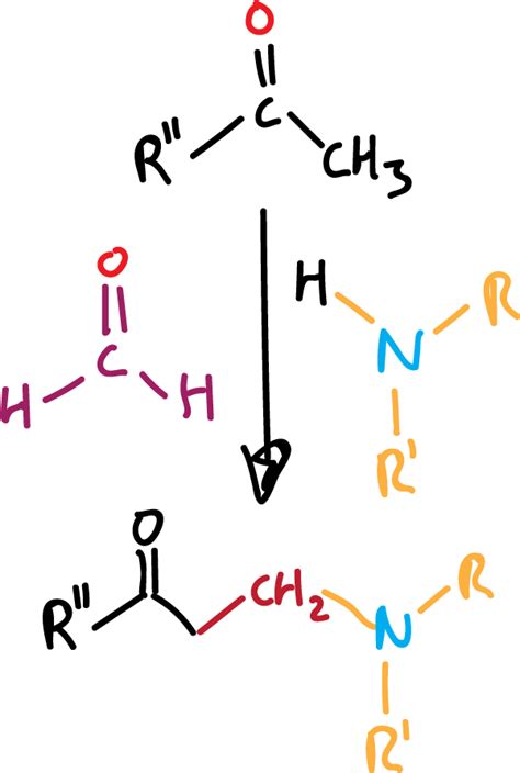 Reactions of Aliphatic Amines | Chemistry Online